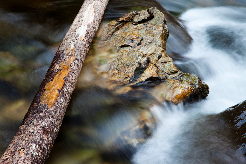 Fallen Tree And Small Cascade